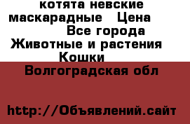 котята невские маскарадные › Цена ­ 18 000 - Все города Животные и растения » Кошки   . Волгоградская обл.